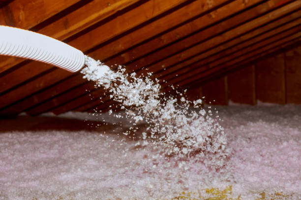 Best Insulation Installation Services in Bowie, TX