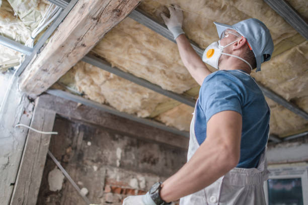 Best Energy Efficiency Solutions in Bowie, TX
